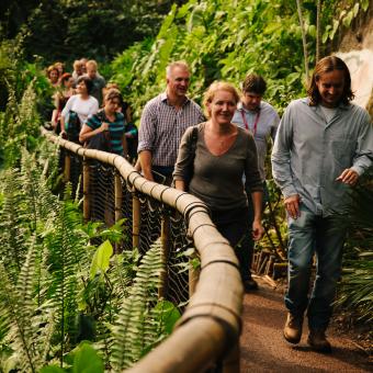 People walking along a path in the Rainforest Biome